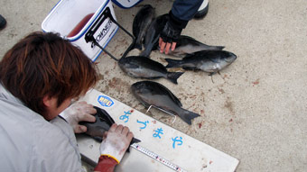武市正二郎会長杯