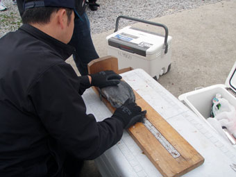 つり天国磯釣大会